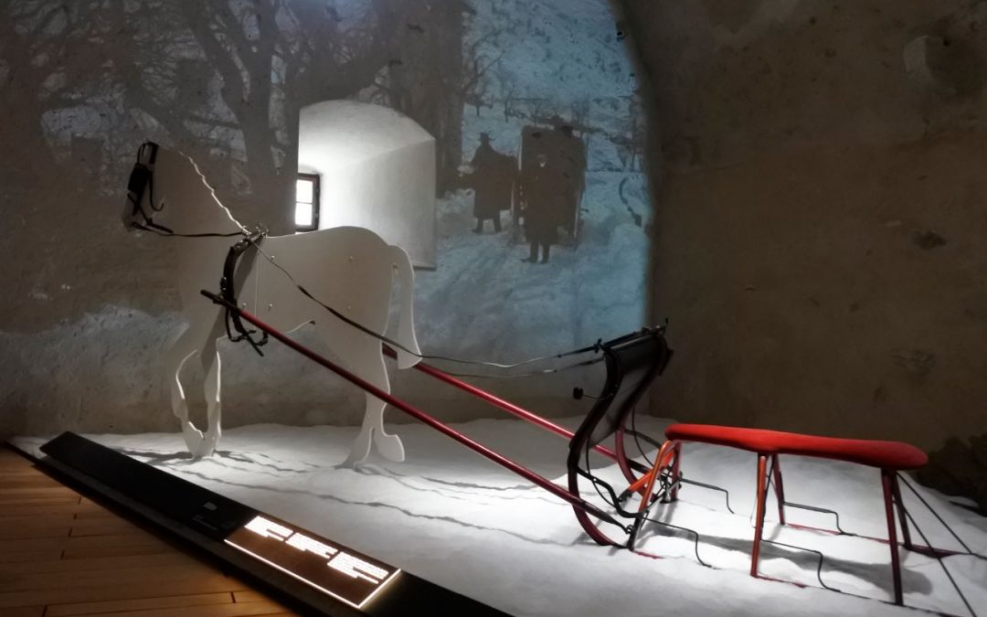 IN CARROZZA!
