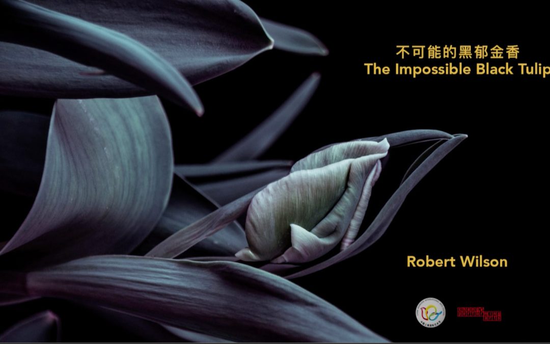 THE IMPOSSIBLE BLACK TULIP